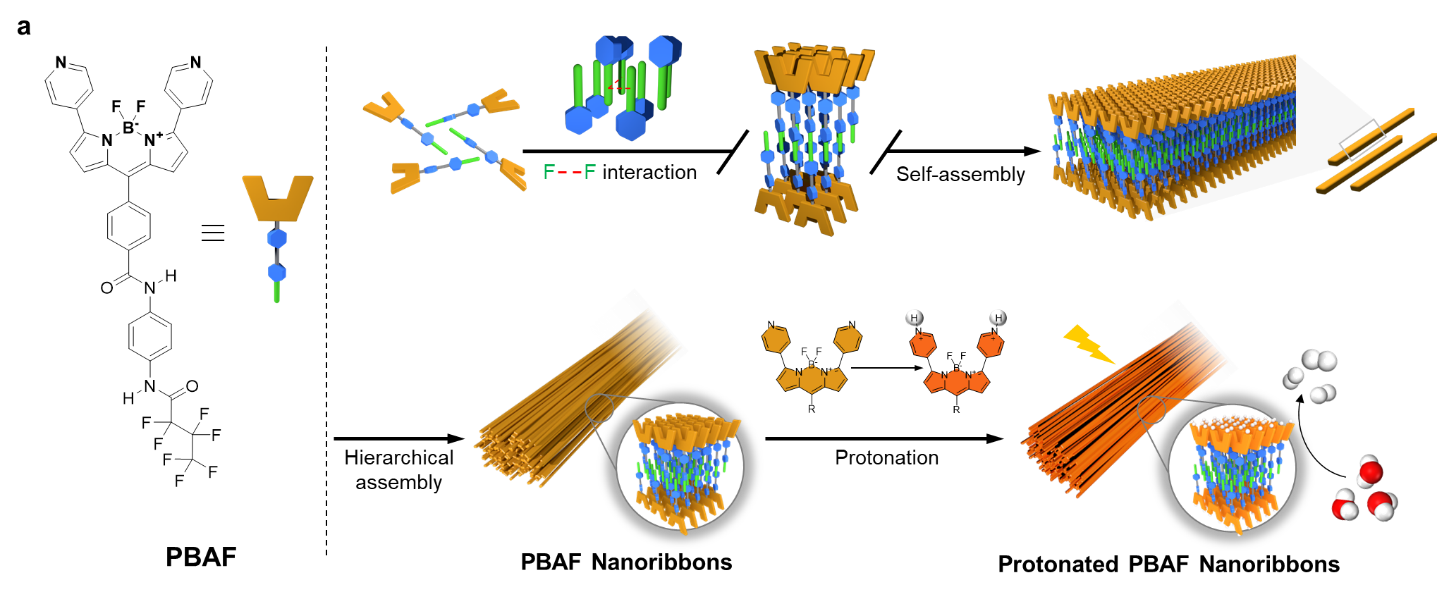 U020260303410165588153.png